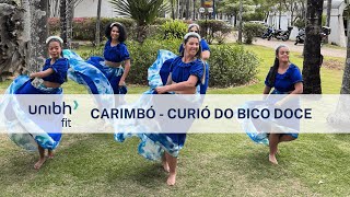 CARIMBÓ  Curió do Bico Doce  UNIBHFIT  Coreografia Dance Vídeo [upl. by Hun857]