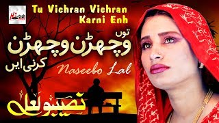 Tu Vichran Vichran Karni  Best of Naseebo Lal  HITECH MUSIC [upl. by Eugilegna561]