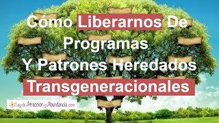 Cómo Liberarnos De Programas Y Patrones Heredados Transgeneracionales [upl. by Akciret230]