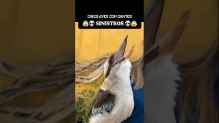 😱💀😱 AVES com CANTOS SINISTROS Pássaros fazendo sons assustadores [upl. by Nerot983]