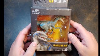 Mattel Hammond Collection Velociraptor Blue Jurassic World [upl. by Eahsram91]