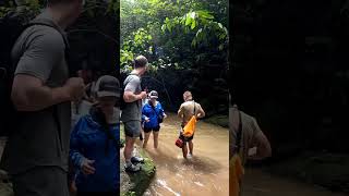 River Crossing a Rain Forest in Jaco Costa Rica costarica jacocostarica [upl. by Knah]