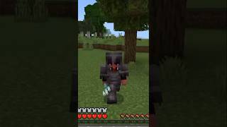 Minecraft Noob vs Pro vs Hacker in Removing Cobwed [upl. by Ecnadnac92]