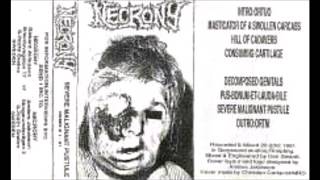 Necrony SWE DeathGrind 1991  Severe Malignant Pustule Full Demo [upl. by Somisareg]