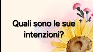 Quali sono le sue intenzioni Tarocchi Interattivo [upl. by Artima]