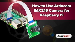 Tutorial How to Use Arducam IMX219 Camera for Raspberry Pi [upl. by Athiste]