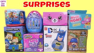 Surprise Toys Paw Patrol Num Noms Minecraft DC Comics Hatchimals Shopkins Opening Kids Fun [upl. by Bihas163]