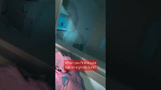 Cute bat ghost hunt paranormalists haunting paranormal cute bat [upl. by Ayikur]