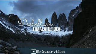 Pechellam thalattu pola  Tamil Love song  Surya hits  Mr kumar videos [upl. by Yelhs31]