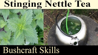 How To Make Stinging Nettle Tea  High Nutritious Herbal Drink For Bushcraft Prepping And Survival [upl. by Fianna139]