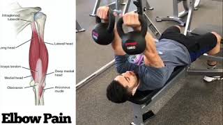 Triceps Exercise Elbow Pain [upl. by Adnauqal136]