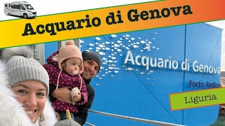 Acquario di Genova  Cosa fare in Liguria se piove Liguria in Camper [upl. by Hunter664]