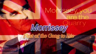 Morrissey  First of the Gang to Die Lyrics Unofficial Video [upl. by Gladi665]