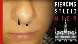 Piercing Fails  Mega Schiefes Septum Piercing mit Wildfleisch uvm  Marcs Piercing TV [upl. by Lrig]