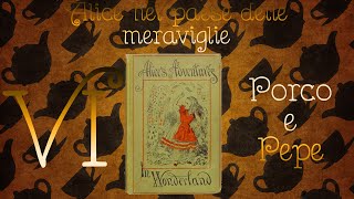 Lettura Alice nel Paese delle Meraviglie  Capitolo 6 [upl. by Alleirbag]