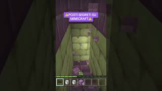 End City Secretminecraft enderman enderchest gamerfleet anshubisht endcity bawagamer roni [upl. by Dunn]