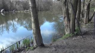 STRAWBERRY FIELDS FISHERY ROYAL TUNBRIDGE WELLS KENT [upl. by Aprilette]