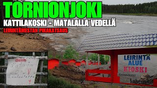 TORNIONJOKI KATTILAKOSKI  Matalalla 155 cm vedellä ja Tonkon Leirintämesta  Rantanäkymät [upl. by Cissy409]