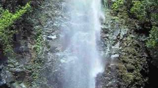 Sacred Secret Falls Kauai [upl. by Airalav]