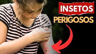 10 Insetos Perigosos [upl. by Ybbed]