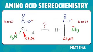 Amino Acid Stereochemistry  R amp S vs D amp L [upl. by Molini]