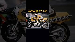 A insanidade de 2 TEMPOS  Yamaha TZ750 [upl. by Montague838]