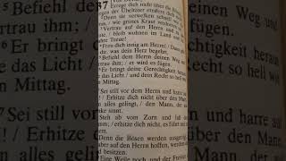 Nimm dir 1 Minute Zeit bibelvers bibel Psalm37 bibellesen shorts [upl. by Antoinetta]