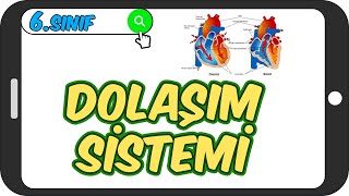 Dolaşım Sistemi  Taktikli Konu Anlatımı 🩺 6Sınıf Fen 2023 [upl. by Sirah]