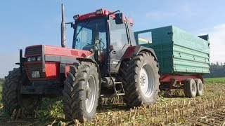 Case IH 1056 XL bei der Maisernte HD  Sound [upl. by Etteroma542]