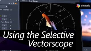 Pinnacle Studio Color Grading with Selective Vectorscope [upl. by Dich841]