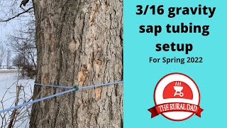 316 Gravity Sap Tubing Setup [upl. by Guidotti]