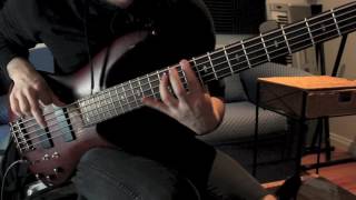 HAKEN  The Architect bass cover [upl. by Franky876]