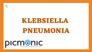 What is Klebsiella pneumoniae Symptoms of pneumonia and UTI caused by K pneumoniae [upl. by Anyale]