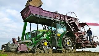 John Deere 6150R with Pinkplanter  Planting Tulip bulbs  Tulpenbollen planten [upl. by Izmar726]