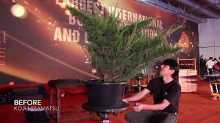 Bonsai demo by Koji Hiramatsu [upl. by Razec892]