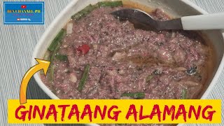 HOW TO COOK GINATAANG ALAMANG RECIPE  MAS PINASARAP NA PAGLUTO NG ALAMANG [upl. by Eytteb247]