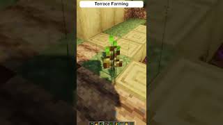 Minecraft Build Ideas Terrace Farming shorts minecraft [upl. by Nomla963]