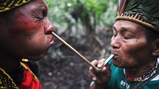 Making First Contact with the Tribal People of the Amazon Full Documentary [upl. by Button591]