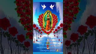 guadalupanos que la santísima virgen María de Guadalupe los acompañe siempre amén 🙏 [upl. by Noynek]