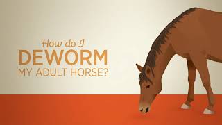 Have you heard A conversation on how to deworm your adult horse [upl. by Corie]