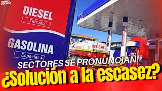 🔴 GOBIERNO PERMITE IMPORTACIÓN PRIVADA DE GASOLINA Y DIÉSEL 🔥⛽  SECTORES SE PRONUNCIAN 🚛💥 [upl. by Alby]