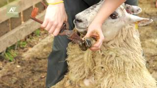 Agriculture  Northumberland College Kirkley Hall Campus [upl. by Lind]