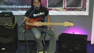 Seismic Audio Speakers 2x10 Bass Guitar Cabinet Demo and Review [upl. by Anitnelav]