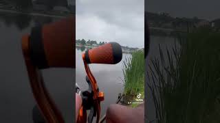 If you miss the spawn watch this video big fish fishing bass viralshort fishtok lifestyle [upl. by Analak]