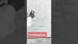 Fertilisation in flowering plants [upl. by Devitt10]