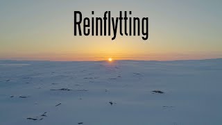 Reinflytting The Movie [upl. by Claire]