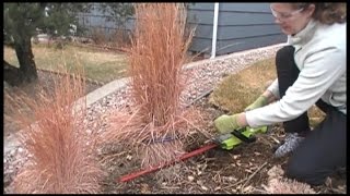 The BEST Way to Prune Ornamental Grasses [upl. by Anaet]