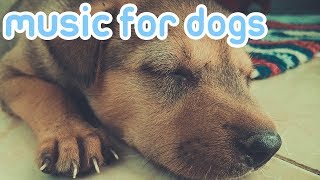 15 HOURS OF RELAXING DOG MUSIC Reduce Anxiety and Help Dogs Sleep [upl. by Znieh922]