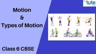 Motion and Types of Motion  Class 6  Physics  Science  Letstute CBSE [upl. by Drummond]