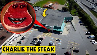 DRONE CATCHES CHARLIE THE STEAK IN REAL LIFE HE ATE SOMEONE [upl. by Decca137]